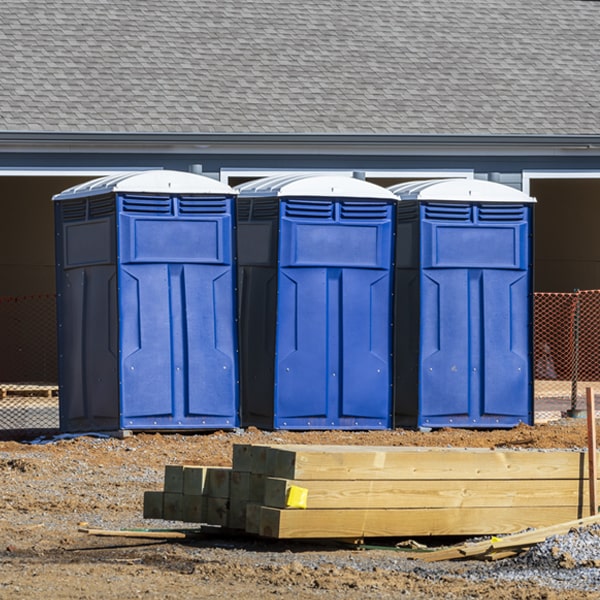 how can i report damages or issues with the portable toilets during my rental period in Lee Vining California